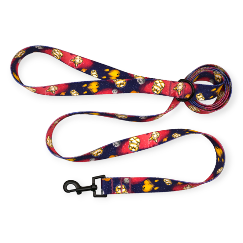 smycz miejska we wzorze "Astro Corgi"