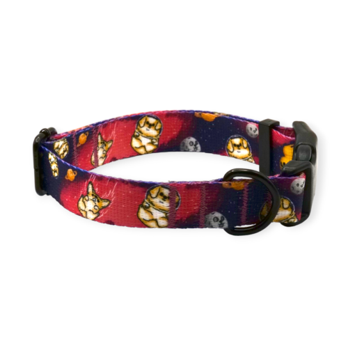 obroża we wzorze "Astro Corgi"