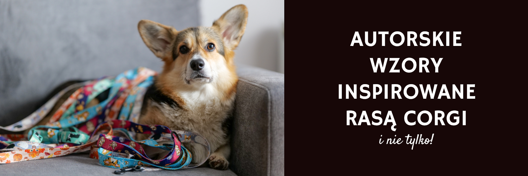 autorskie wzory inspirowane rasą corgi i innymi