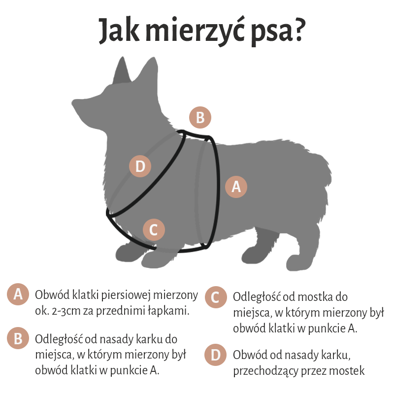 jak mierzyć psa