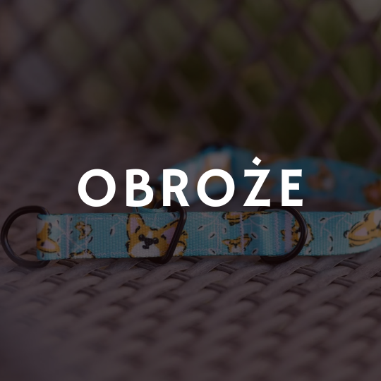 obroże